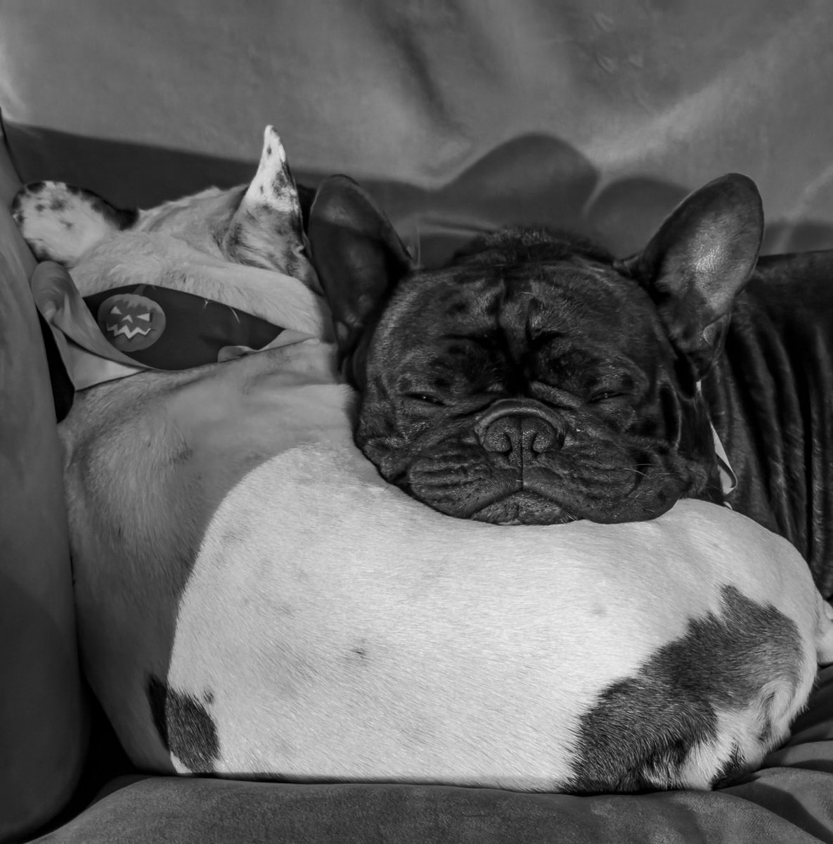 happy lazy saturday 🥰