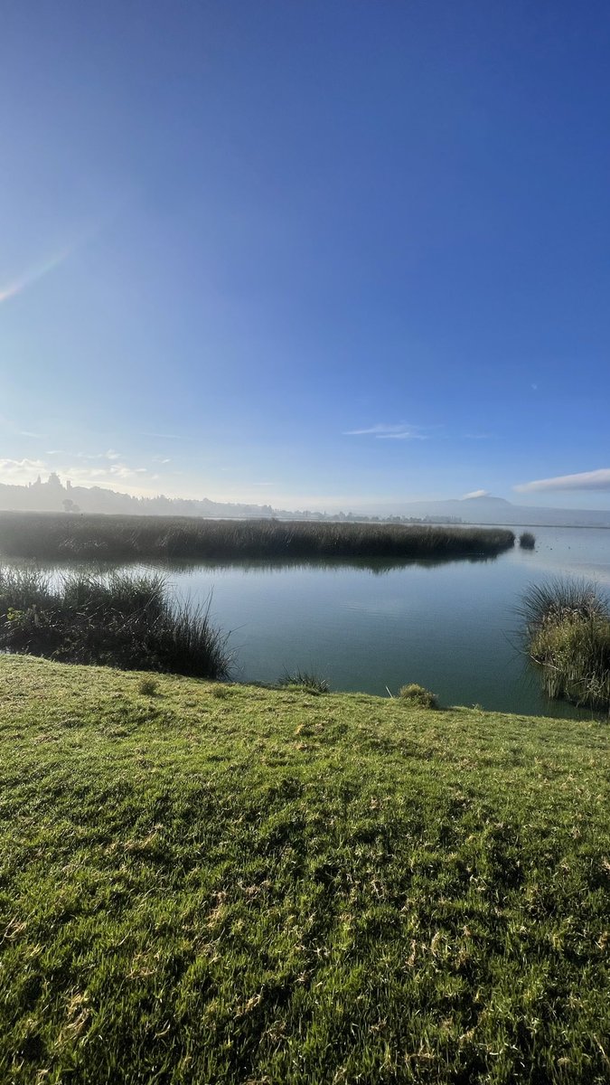 ıll🅂🅐🅄llı tweet media