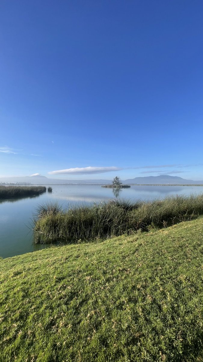 ıll🅂🅐🅄llı tweet media