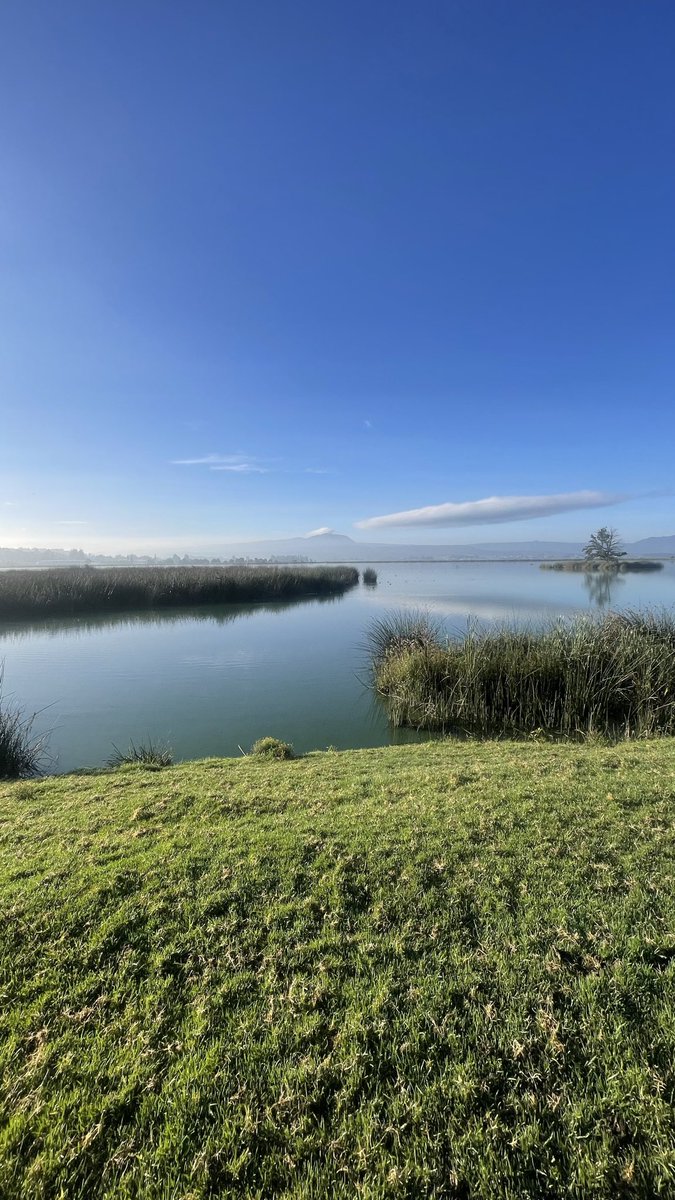 ıll🅂🅐🅄llı tweet media