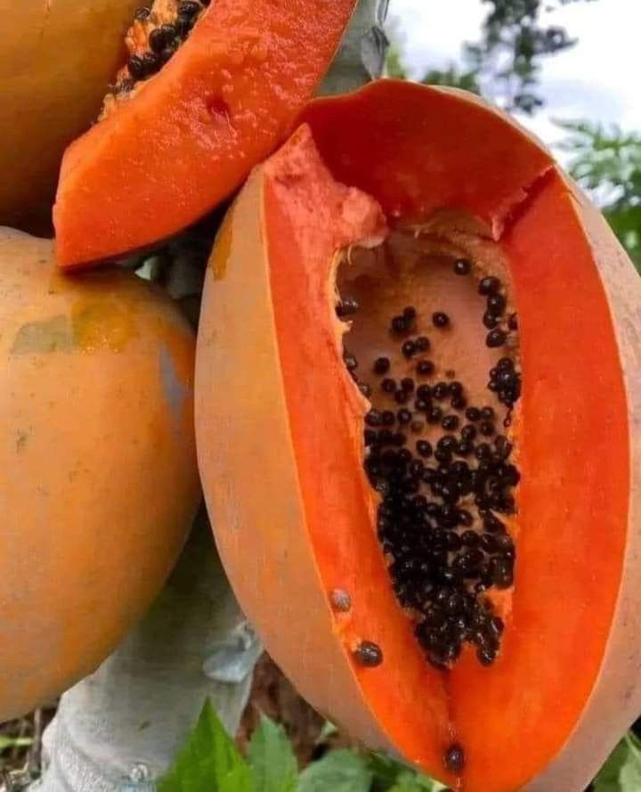 sweet_nector1's tweet image. Can you identify the fruit name?