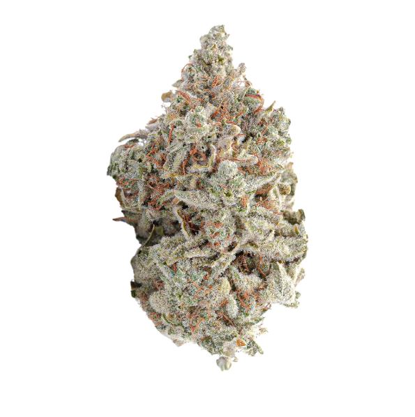 EcoEssence001's tweet image. Cali Blaise sets the standard for premium botanical craftsmanship. Each hand-selected strain is lab-tested for quality and purity. Discover unmatched freshness and craftsmanship—order directly from Cali Blaise today.
#CaliBlaise #PremiumBotanicals 

caliblaise.net/collections/ca…