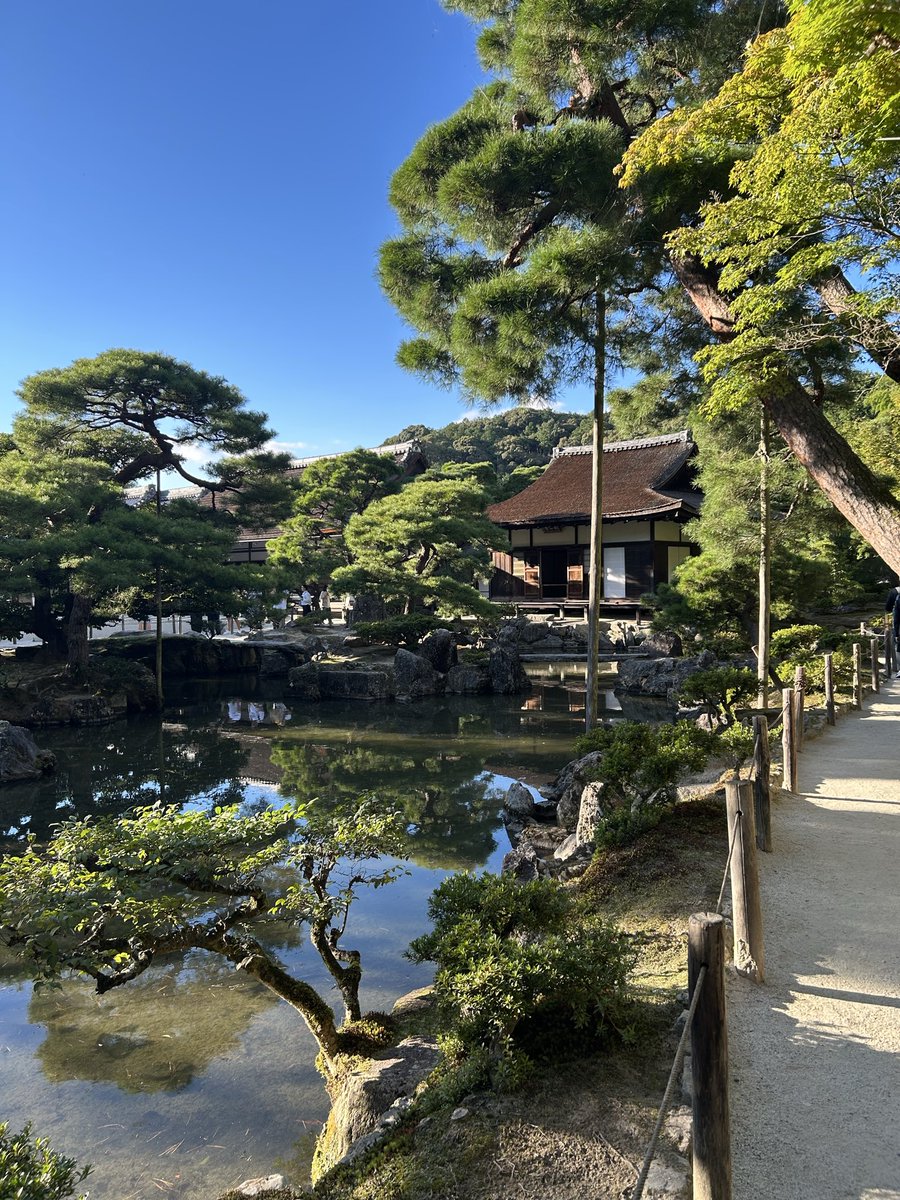 1 day ⭐️ Today was eventful. I watched a guy fall into the pond. I found a bunny shrine, then a crow and mouse shrine. Saw some cats while crying on the hillside. Was sent three signs from the universe within 10 minutes. Watched the sunset turn pink to orange. 199 was wild.