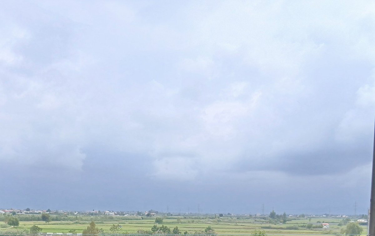 مطب دکتر کالیگاری tweet media