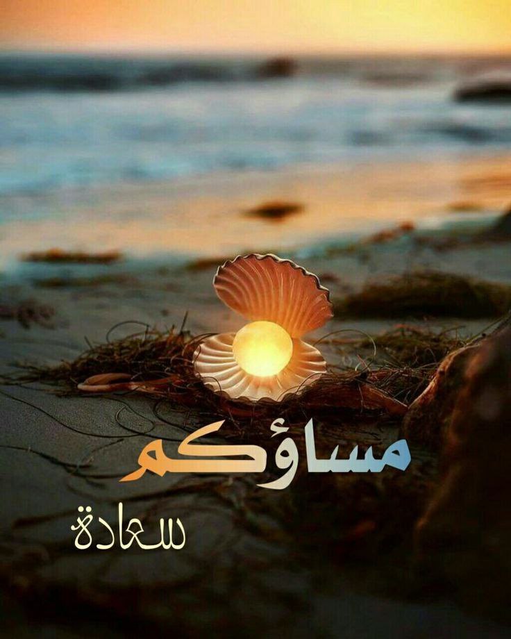 hazaa_n7's tweet image. وقدْ تلقَى الحَفاوَة مِن غريبٍ
          ويَخذلكَ المُؤمَّلُ والقريبُ 

ومَا عَجبِي مِن الغرباءِ لكن 
        جفاءُ الأقربينَ هوَ العجيبُ .

#زراعه_الشعر_بضمان_الزراعه