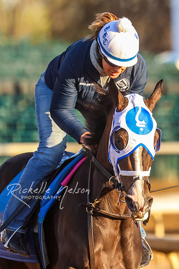 Open now at 919 Palatka!!! We’re here until 2! Come see us for food and crafts at Epworth United Methodist Church! On Taylor past Iroquois Park and turn at the Pizza Hut. 🏇🏻🏇🏻🏇🏻🏇🏻