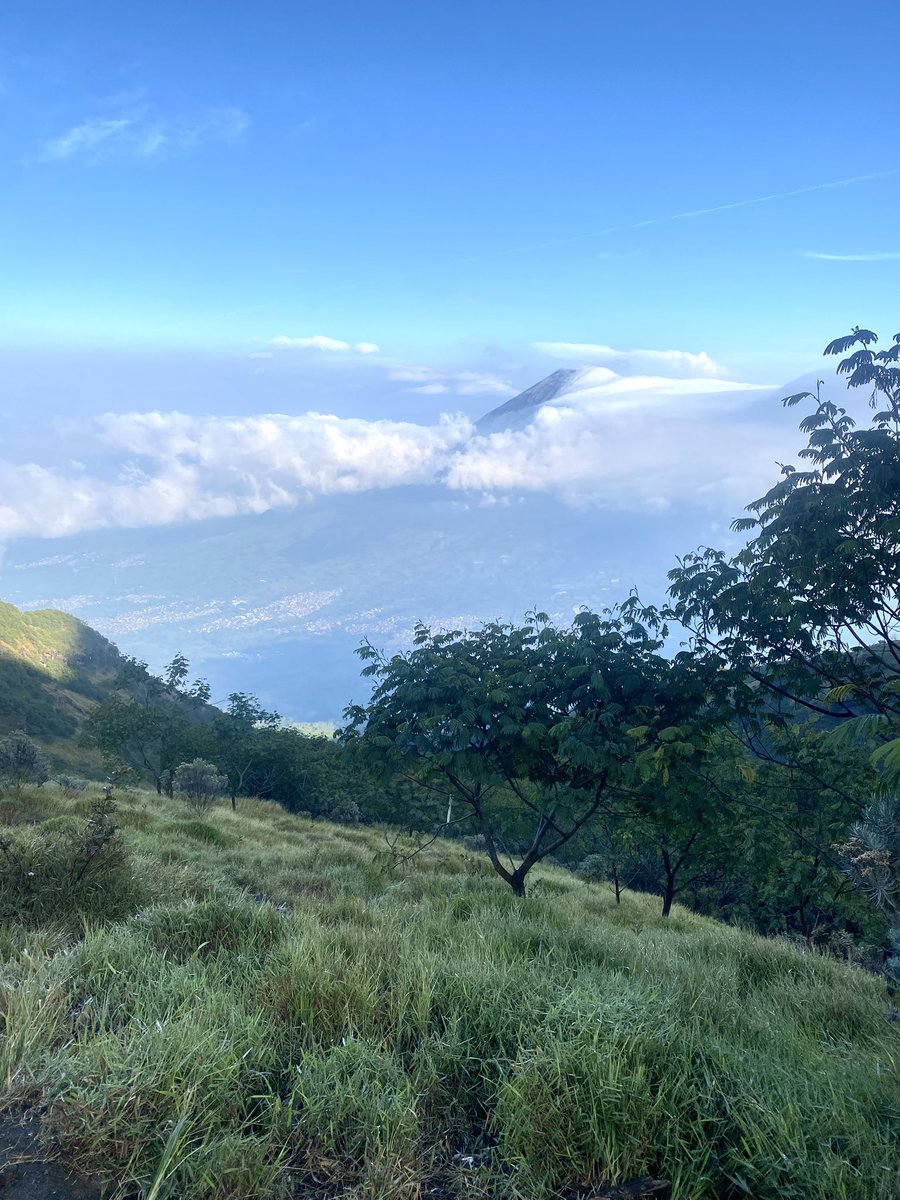 cursedkidd's tweet image. hiking gn sumbing brsama @enjoyyourtripid ,gk smpe puncak soalna tangganya goyang2 gda cekpoint