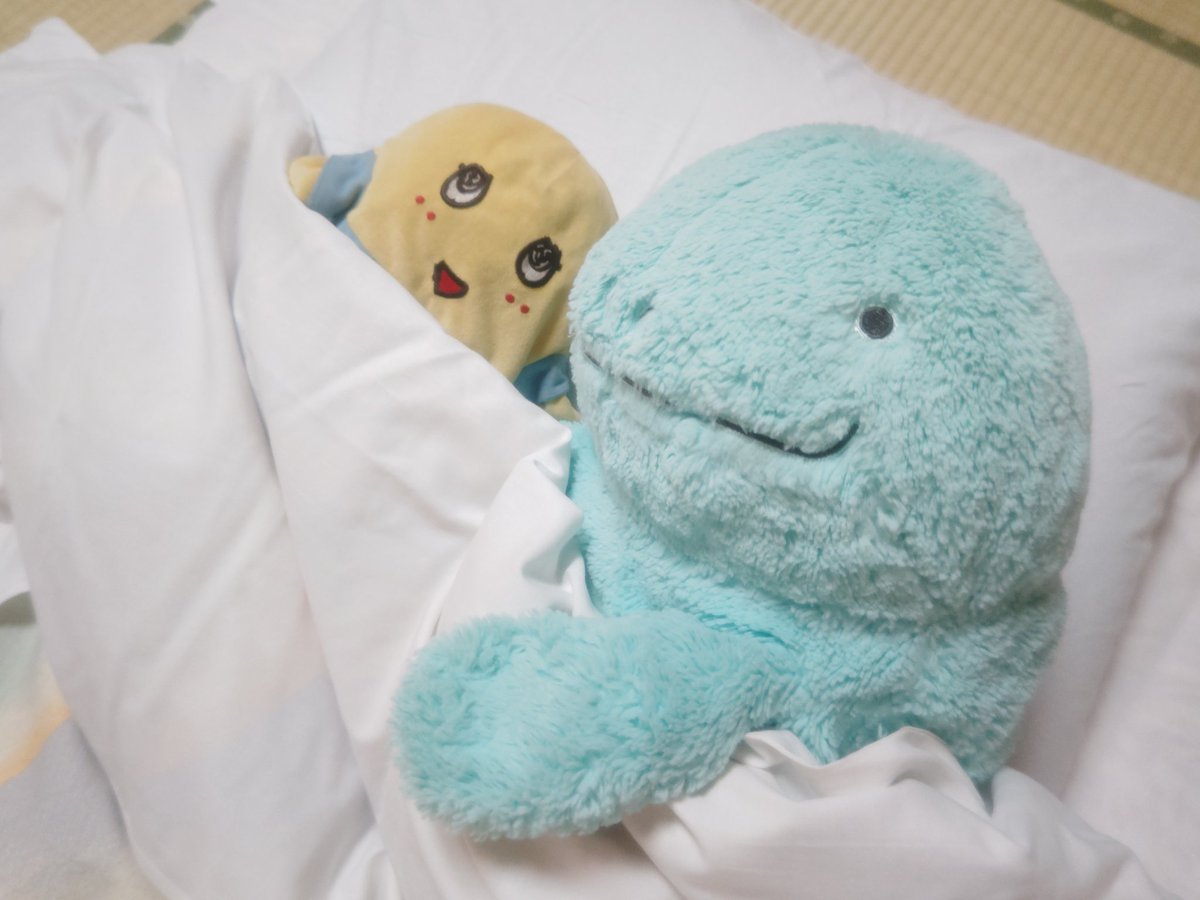 主）私の寝るところは？
ぬ）ないだぬ˙𐃷˙

#ヌオー
#ふわぬお
#ヌオーのいる生活
#ポケモン
#ポケぬい
#ぬい活
#ぬい撮り
#ぬいぐるみの時間