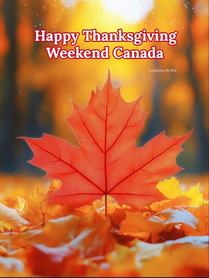 Good Morning Everyone! 
Hope you all have a Happy Thanksgiving Weekend!☀️☕️😊🦃🇨🇦🍁