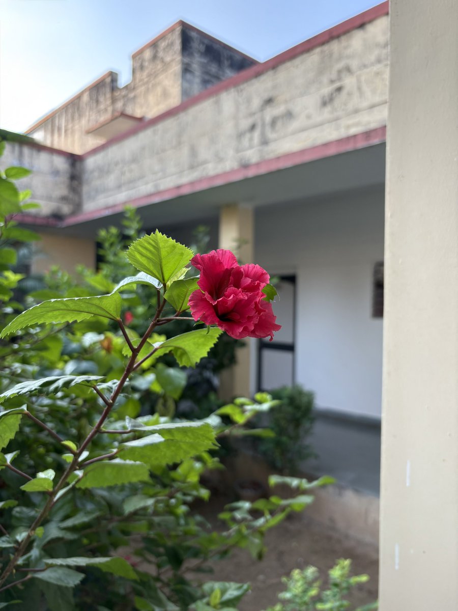 anmolsachdeva99's tweet photo. Moments in focus 📸 https://t.co/zSXB8rcD3K