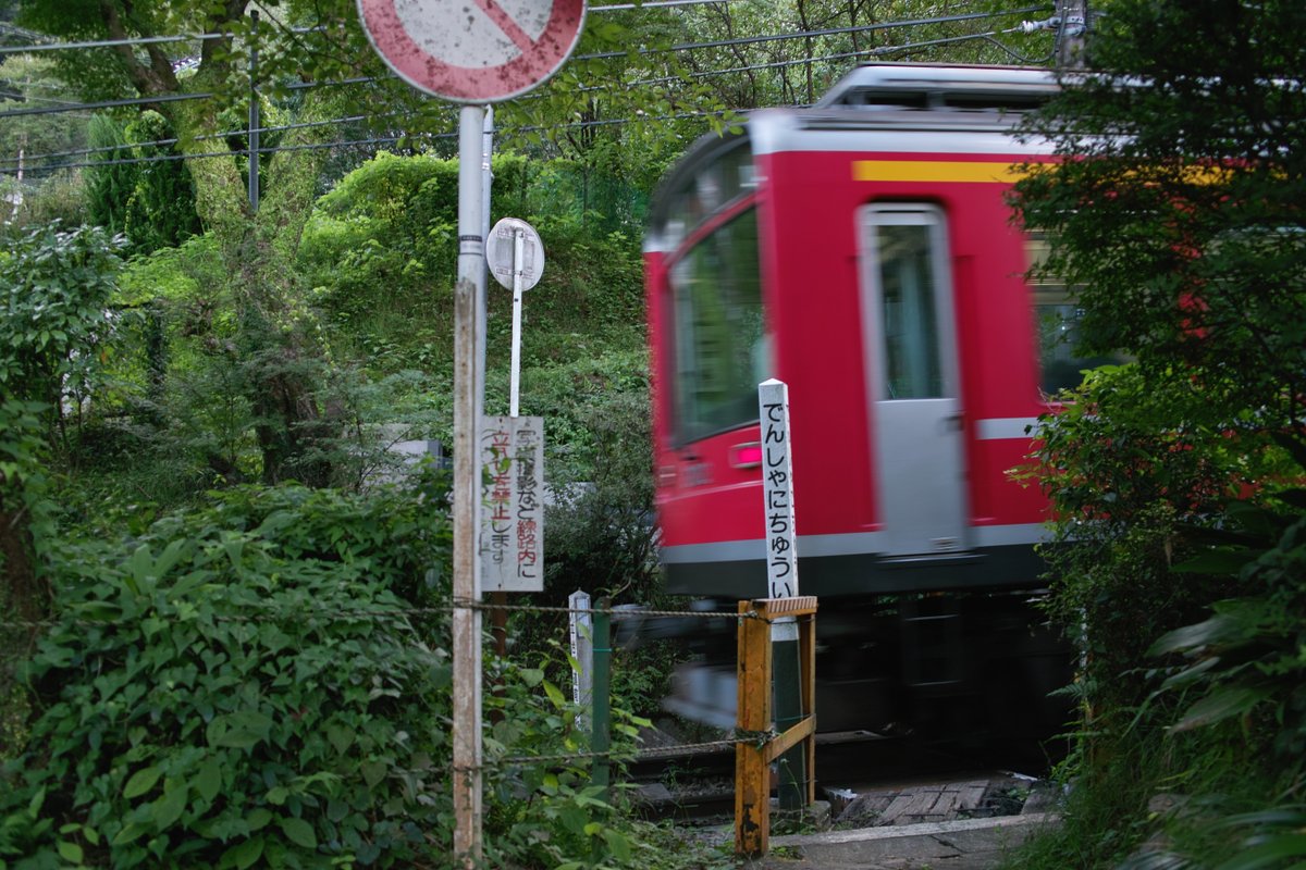 alpha910's tweet image. FOVEONセンサーは素敵だなという写真を発掘してみた。
横須賀　箱根　川崎
SIGMA DP2
#DP2 #オールドデジカメ