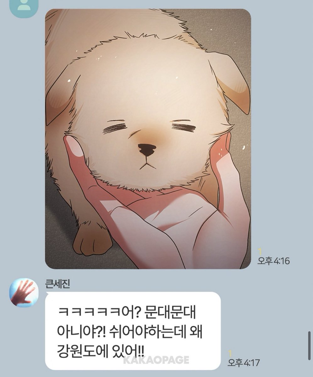 비게퍼 X
게퍼 X
그냥 게이 O