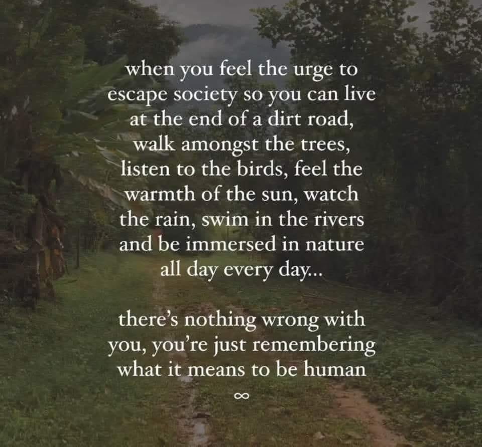 maximumpain333's tweet image. 😌