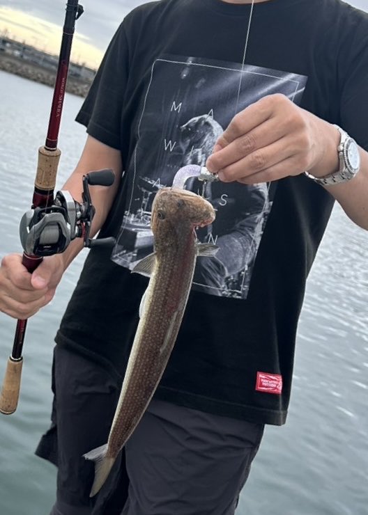 バスはボウズ。。
その後、泉佐野河口でエソ🤣
#ワールドシャウラ
#鱗付け