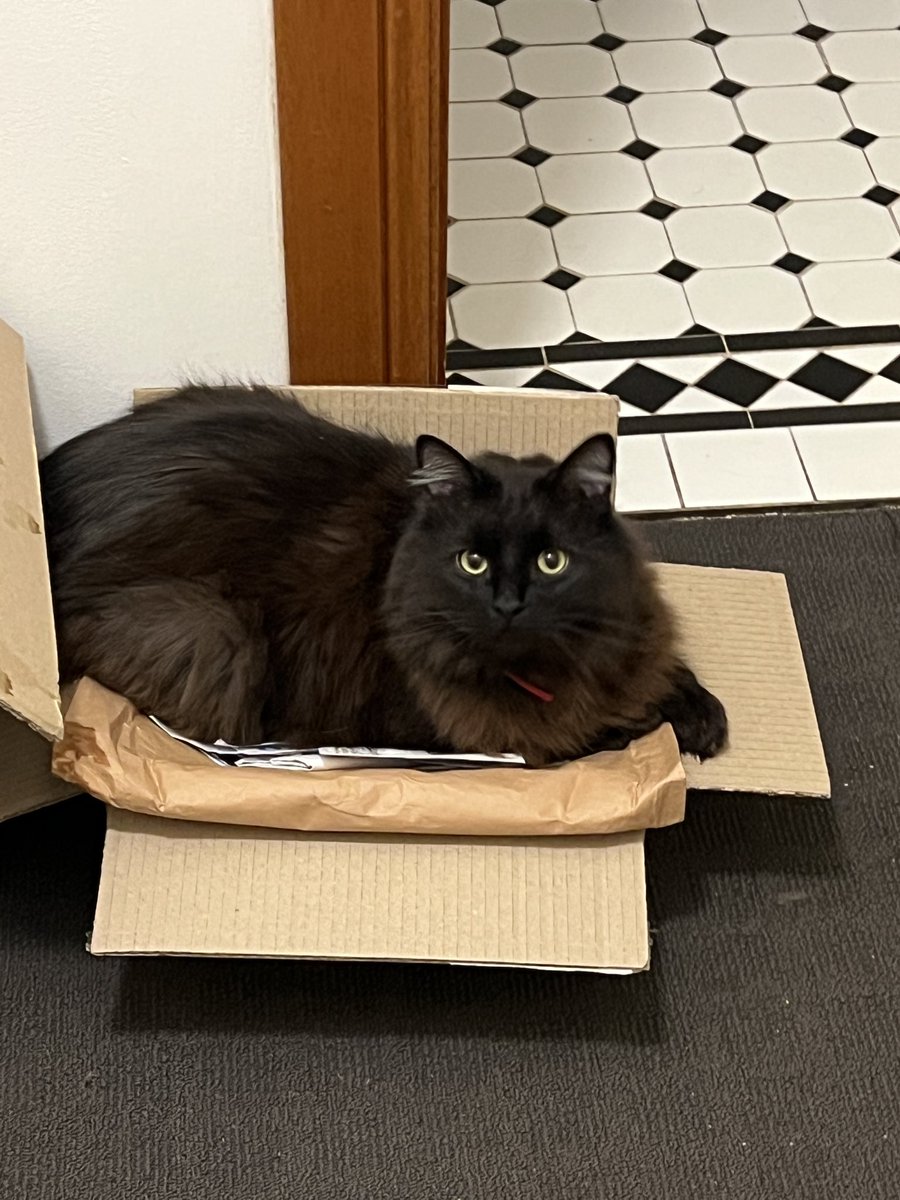 Doesn’t actually fit, still sits