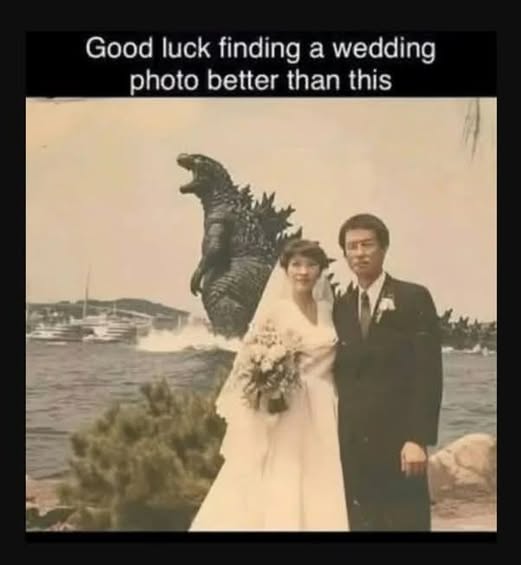 TLHelmuthauthor's tweet image. 