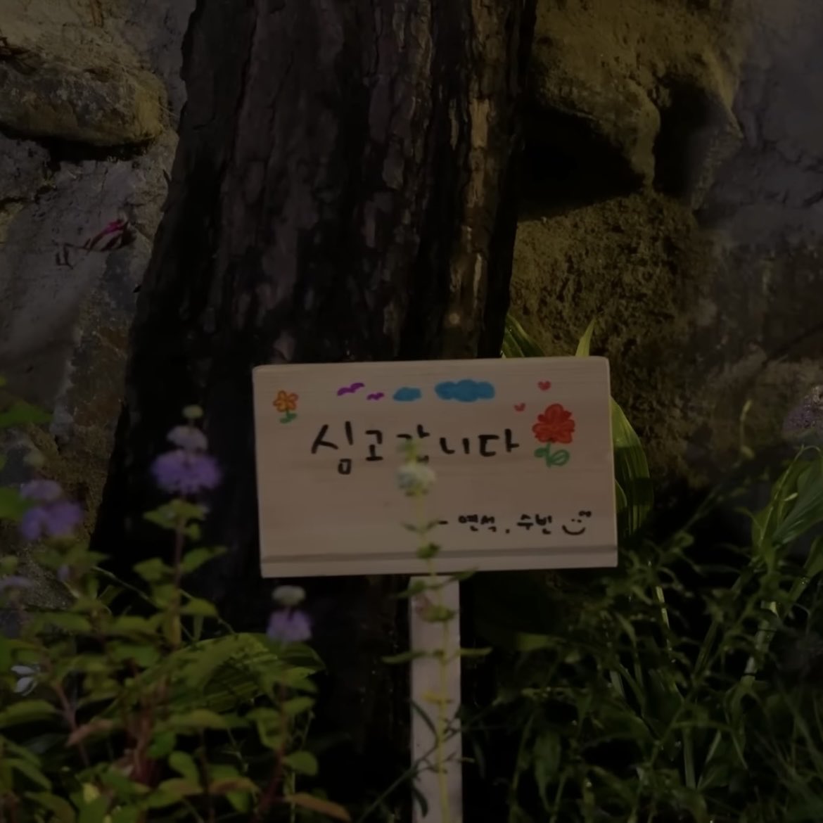 Syuuiibi's tweet image. 토끼공주님 또 자기소개하셔•••💬🐰
#채수빈  #chaesoobin