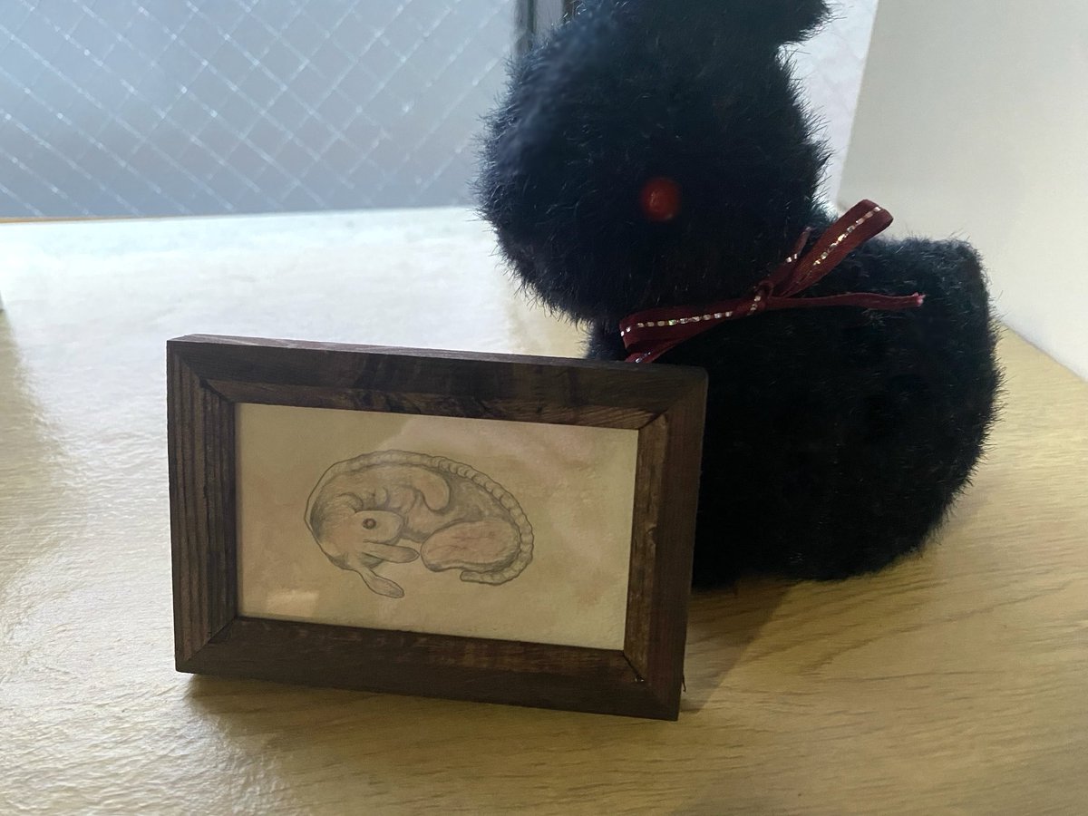 ᗜ ◡  ᗜ ✤ ♠︎ 🗝