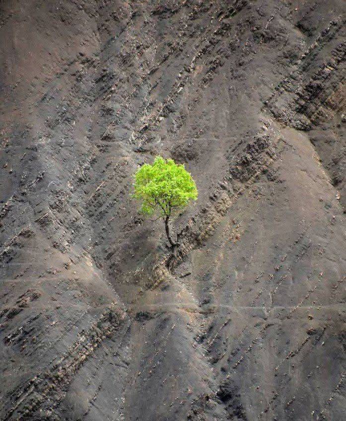 چه جسور می شوی 
وقتی مطمئنی کسی عاشق توست!