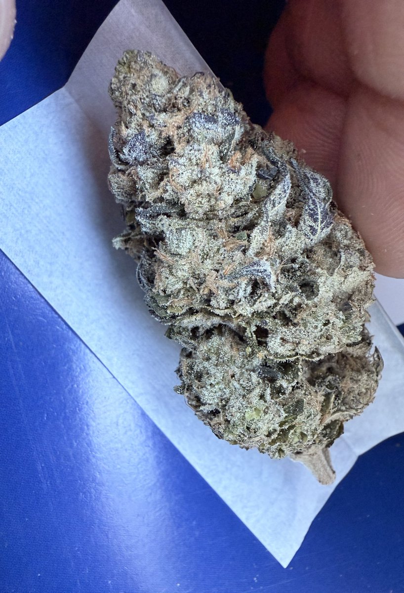 PushnPhosphorus's tweet image. Rolling up some @Twistedtreeauto nova OG on my day off, got plenty of it 🤣
Turned out great through and through from the rosin extracted to the bud rolled up 9.1/10