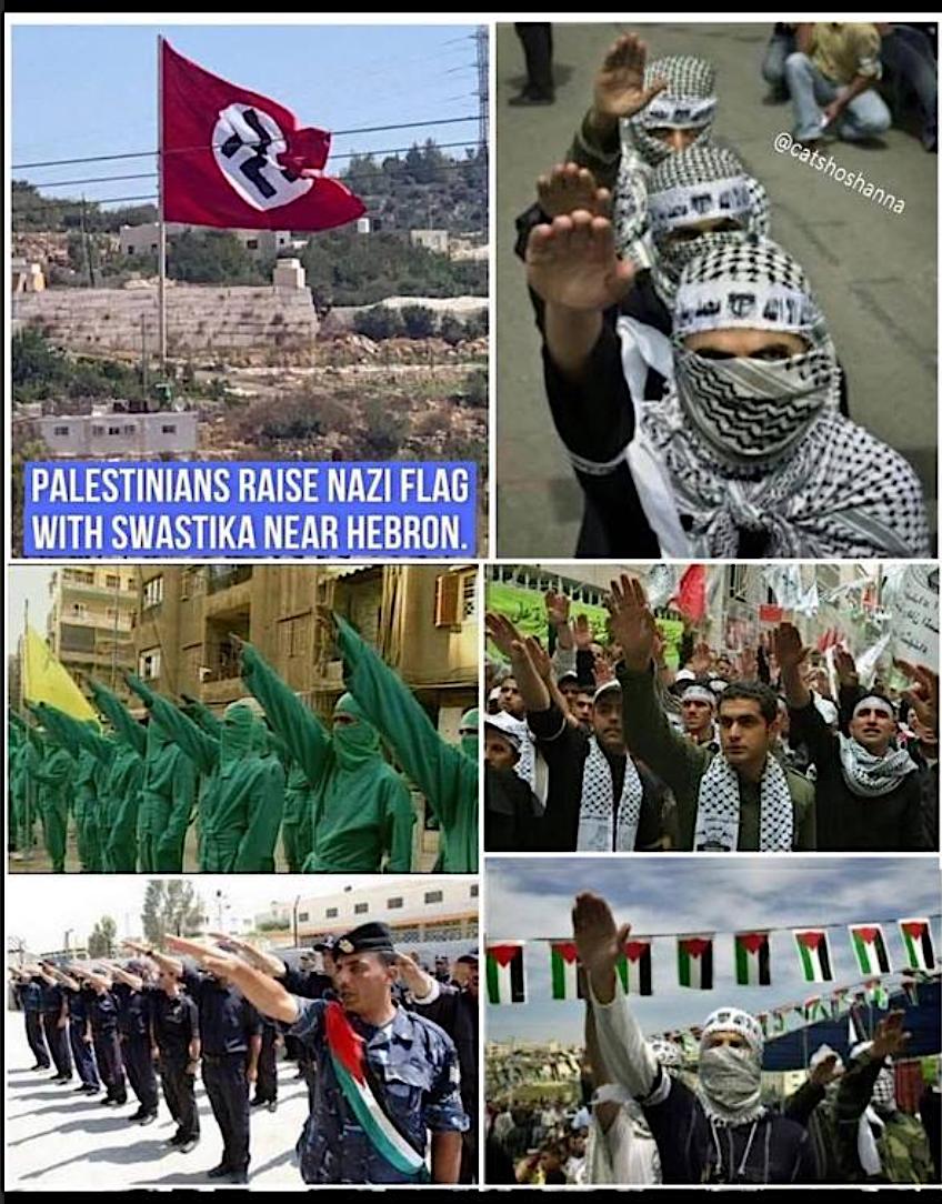 Marianasoux's tweet image. En dan noemen ze ons nazi’s..🙄

Linkse propaganda…