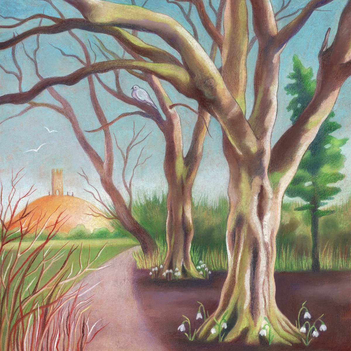 “On the Path”.  Now available as a card! Inspired by London Plane Trees on a Richmond tow path…but with a glowing, Glastonbury-like Tor in the distance! tabithamacbethart.etsy.com/listing/438342… &amp; folksy.com/items/8565588-…
Chalk pastel &amp; pencil 

#ukgiftam #CraftBizParty #MHHSBD #Glastonbury