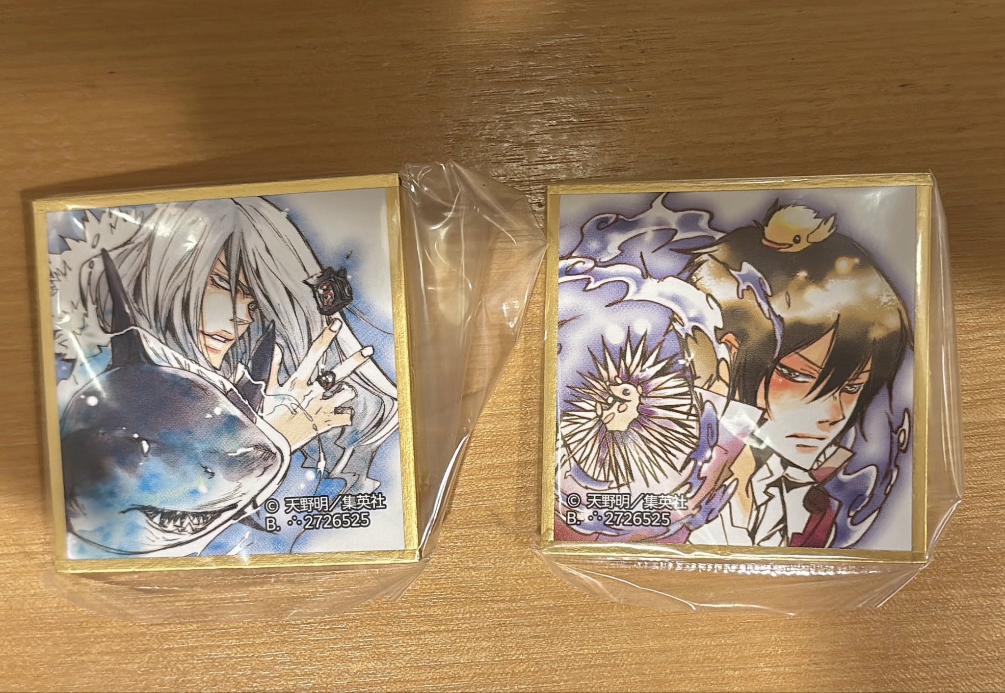 天野明展 in京都 ミニ色紙コレクション リボーン 綱吉 【公式通販】