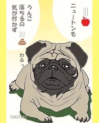 #省きたい事を17文字以内で表現する 
トイレや風呂…で閃くことも💡 