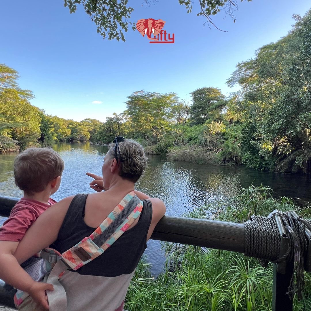 loftytours's tweet photo. 🦒 Family Safari in Kenya – possible and unforgettable with Lofty Tours! 💚

Going on safari with kids? Absolutely – and it’s an adventure your whole family will remember forever! 🌿✨

At Lofty Tours, we design individual routes to keep travel distances short https://t.co/8XxsoOTct1