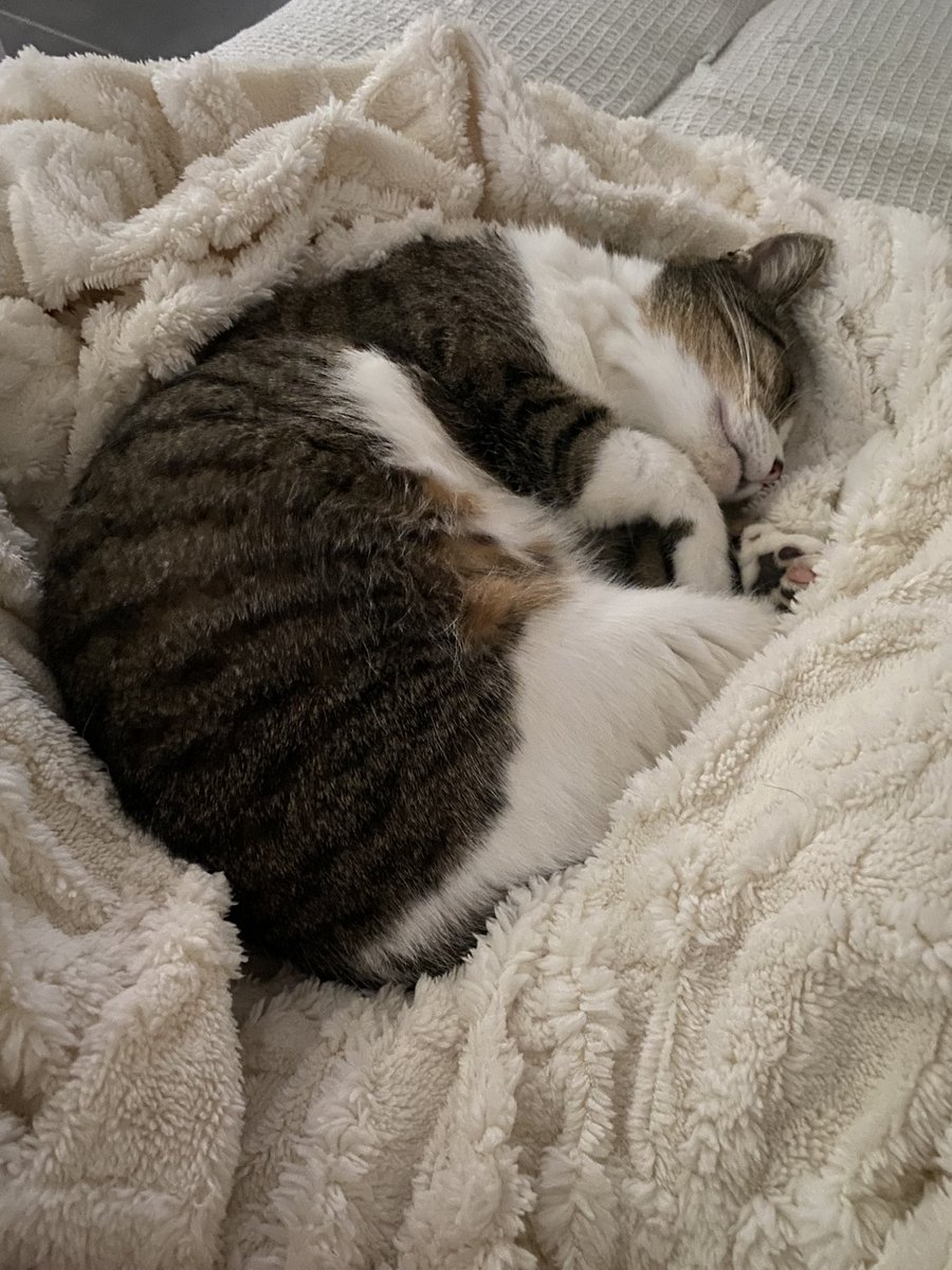 Namsu 🕯 tweet media