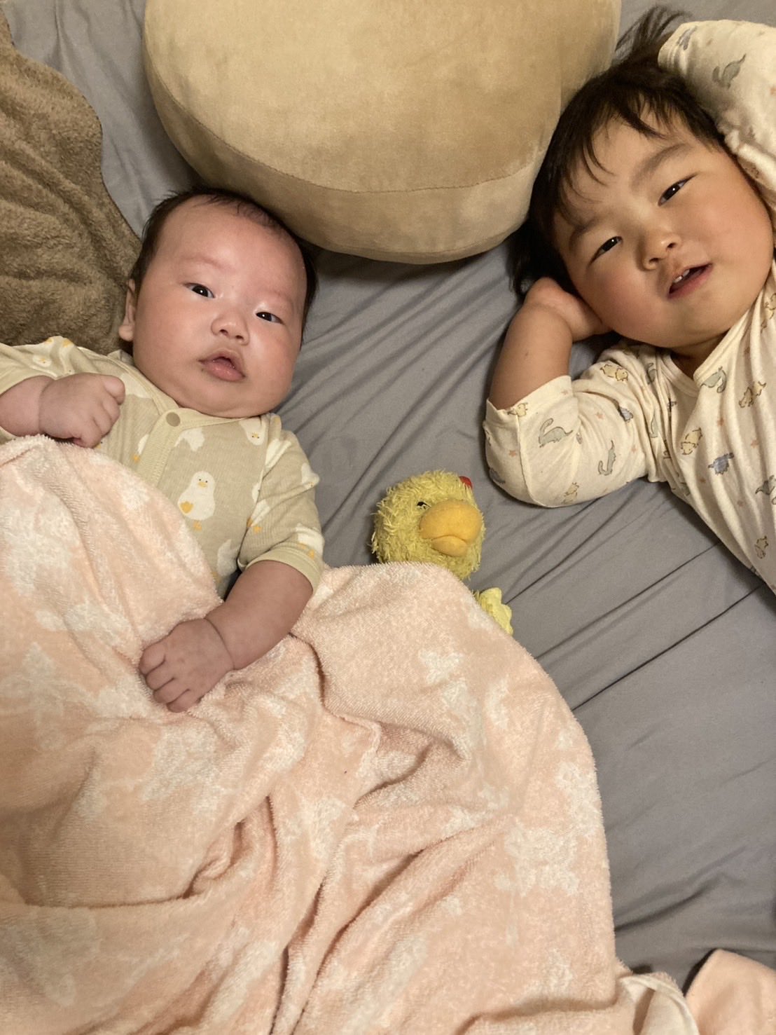 のんちゃん。よ宜しくお願いします♡♡♡ 🐶LaLaDX11月号本日発売🐾 がまたまたDXに出張してます