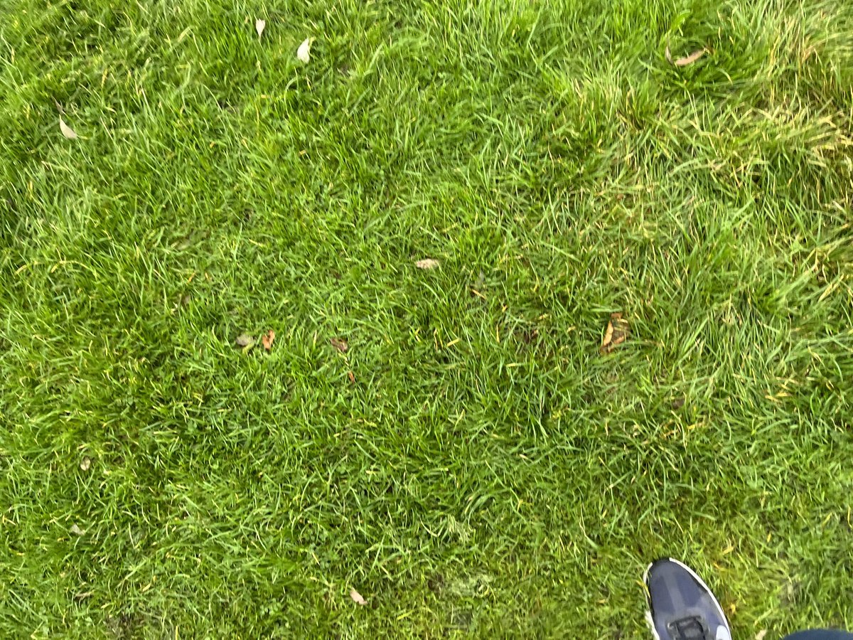 HAPPY NEW SEASON !!
#SALtogether 
We are all set for District Relays 
Please use #LindsaysXC to join our conversation 👍
<a href="/SALChiefExec/">SALChiefExec</a> <a href="/OvensDavid/">David Ovens</a> <a href="/ianbeattie1/">Ian Beattie</a> <a href="/lindsaysnews/">Lindsays Solicitors</a> <a href="/LindsayMcMaho15/">Lindsay McMahon</a> <a href="/leslie_roy1/">Leslie Roy</a> <a href="/LothianRunning/">Lothian Running Club</a> <a href="/InvHarriersAAC/">Inverness Harriers</a> <a href="/KillieHarriers/">Kilmarnock Harriers</a> <a href="/ErinGillen3/">Erin Gillen</a> <a href="/swallace16/">Stephen Wallace</a>
