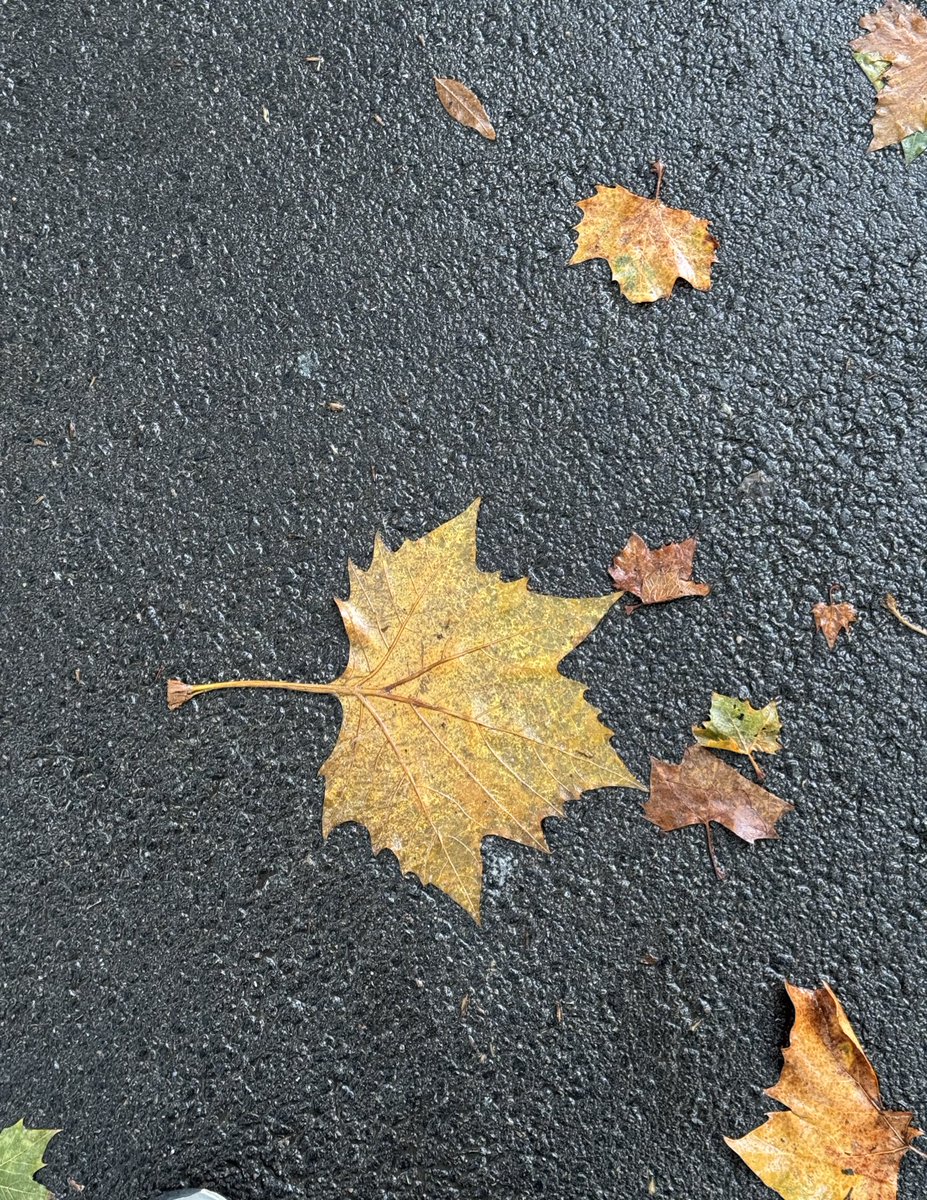 圣水奴有福了。学院男厕所小便池坏了，积攒了一池子圣水，本人也美美贡献了。。。
