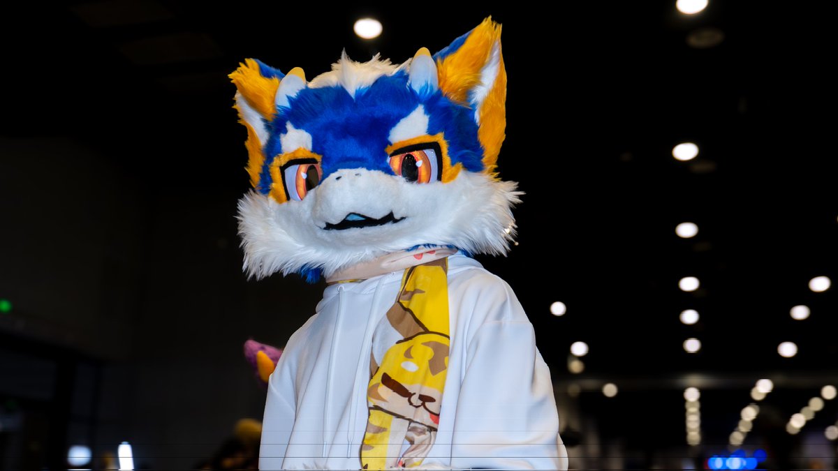 #FursuitFriday

龙不语，只是一味地盯着你

📸莱尔
