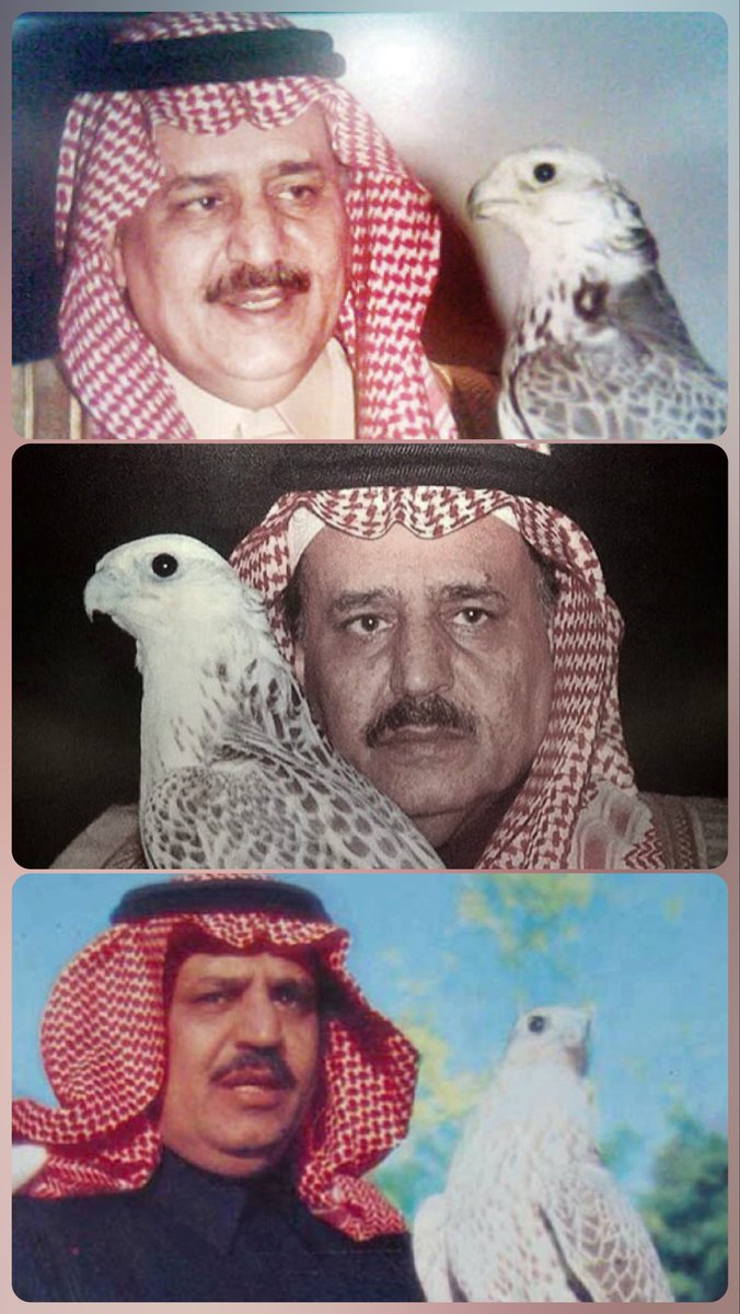 الأمير نايف بن عبدالعزيز – رحمه الله – كان من أبرز عشاق وهواة الصقارة في الجزيرة العربية، عُرف بخبرته الواسعة وامتلاكه لأندر وأفضل أنواع الصقور على مستوى العالم، حتى لُقّب بـ “سيد صقاري الجزيرة”.
تميّزت صقوره بنقاء دمها ومهارتها العالية في الصيد، فكان الصقّارة يتسابقون لاقتنائها،