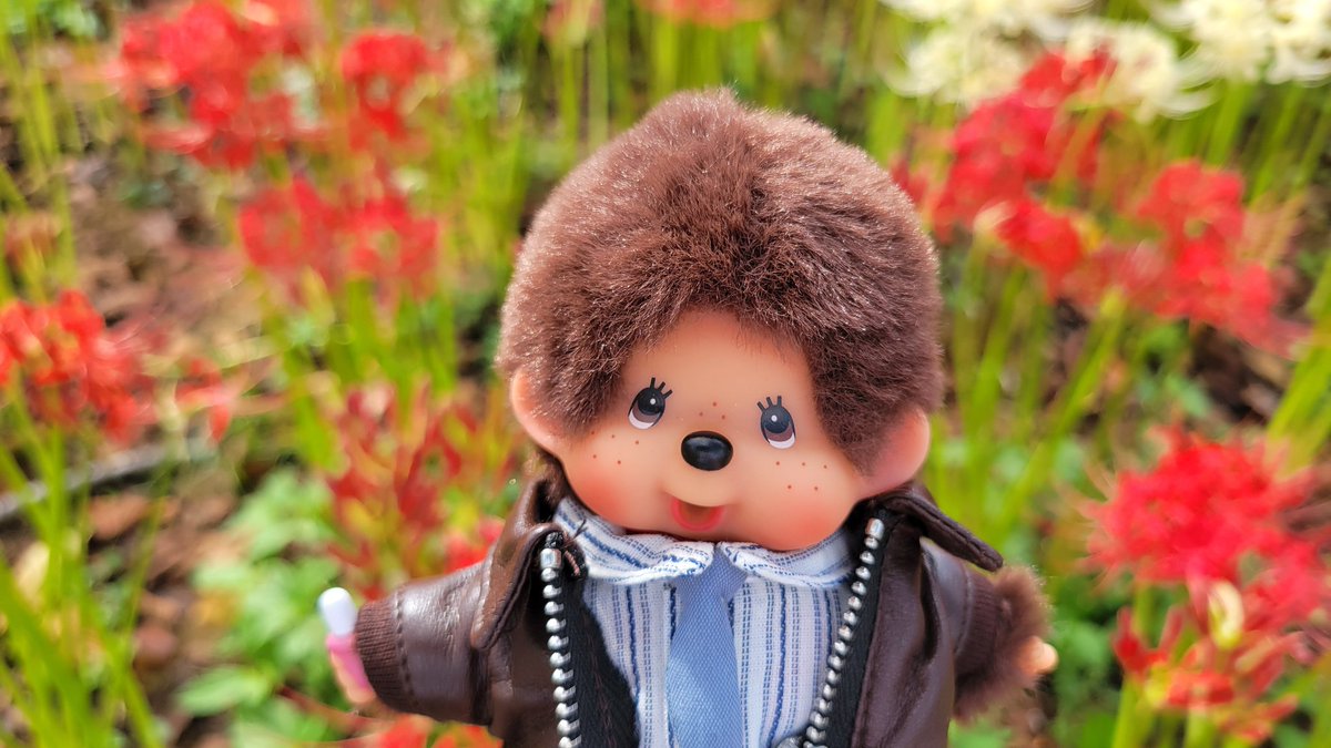 しまおん (@jun23a) / Posts / X