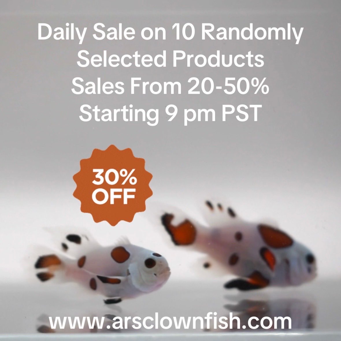 ARS Clownfish (@ArsClownfish) / Posts / X