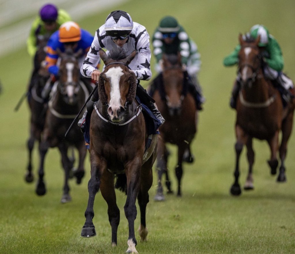 flutter61's tweet image. Brigid’s Cloak has possibly her last race today at @NaasRacecourse before she goes to the @Tattersalls1766 HIT Sales, for our @NBradleyRacing syndicate with @JohnnyMurtagh
She’s been far too consistent for her own good, but hopefully @BenCoen2 can get the best out of her 😊🐎🇮🇪