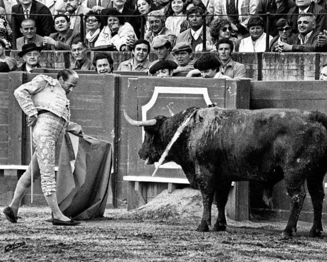 «La colocación es imprescindible. En el toro y en la vida. Hasta para tomarse una cerveza en la barra de un bar conviene estar bien colocado.»