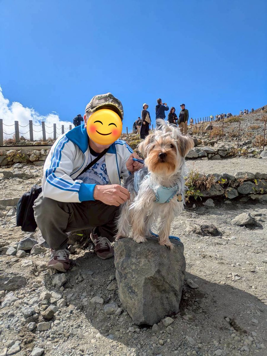 REMeteor350's tweet photo. ワンコ連れでの初家族旅行で那須で遊んできました！
ワンコ優遇のコテージだったので普段の自宅以上にのびのび過ごせたんじゃないかな♪ https://t.co/twfupKuO63