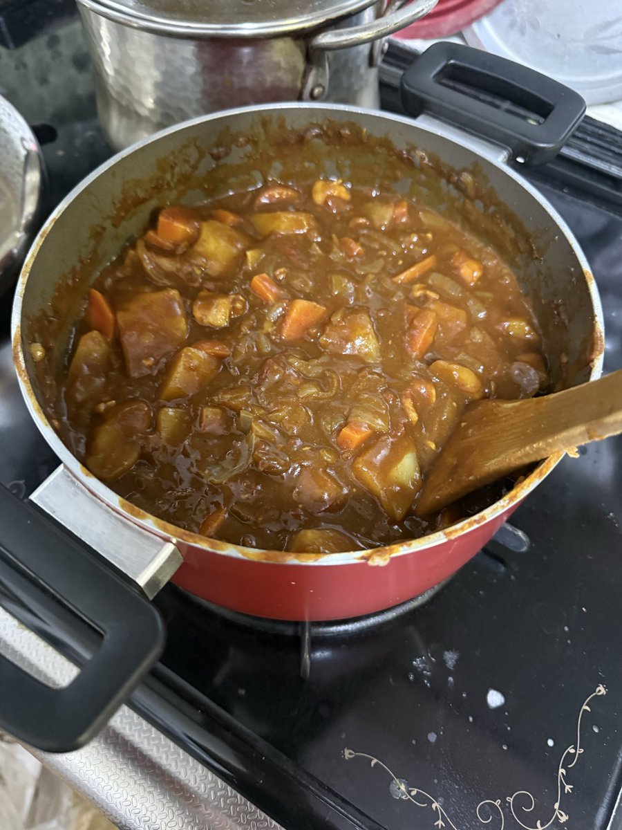 無水カレー作りすぎた🍛