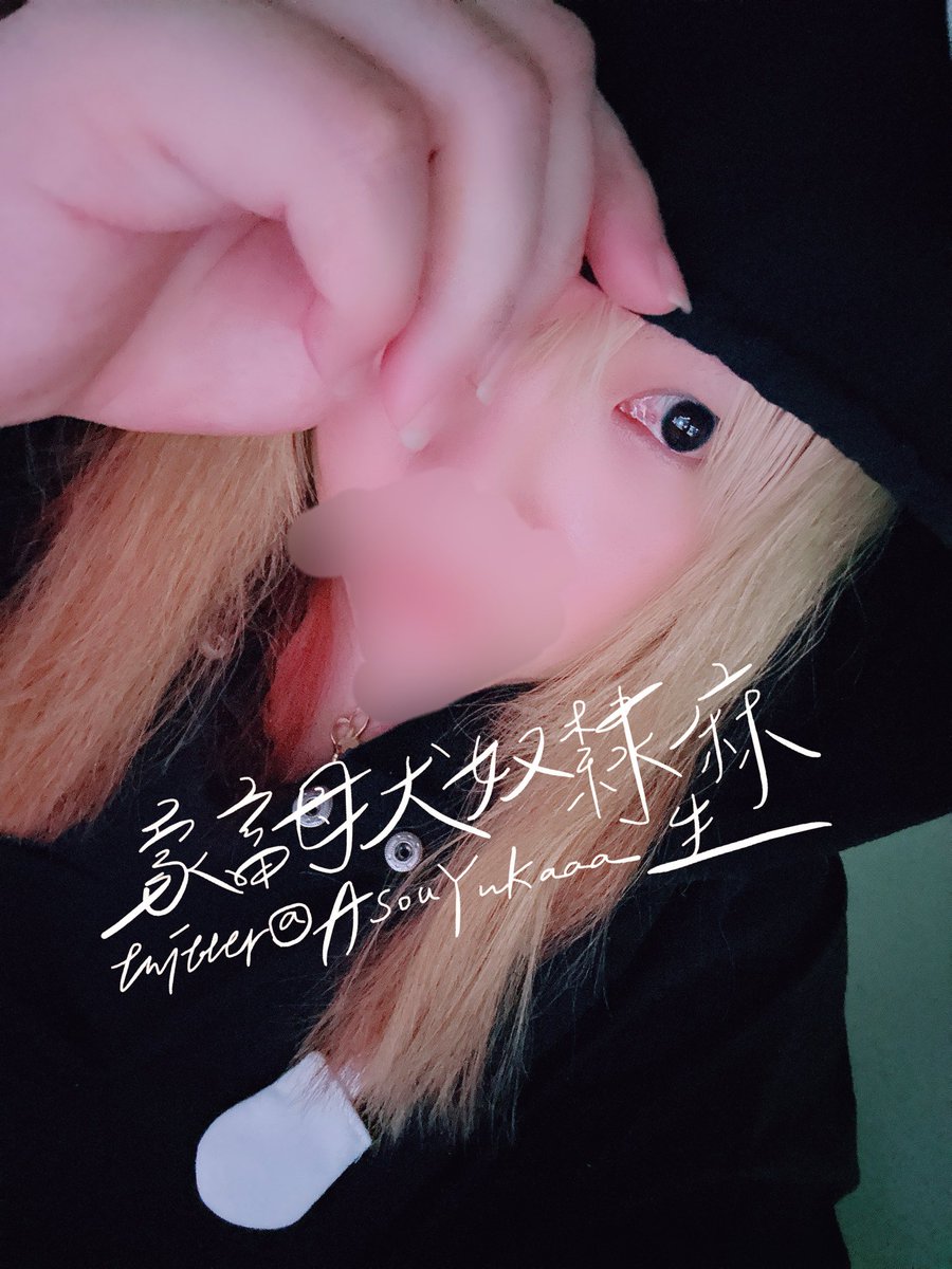 ゆか🐶 tweet media