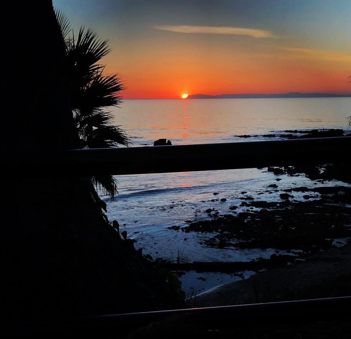 SHELKAPA's tweet image. “Sunset serenity by the ocean, framed by palm trees and a gentle shoreline. #LagunaBeach #California #Sunset #OceanView #PalmTrees #NatureLovers #CoastalVibes #BeautifulSunsets”