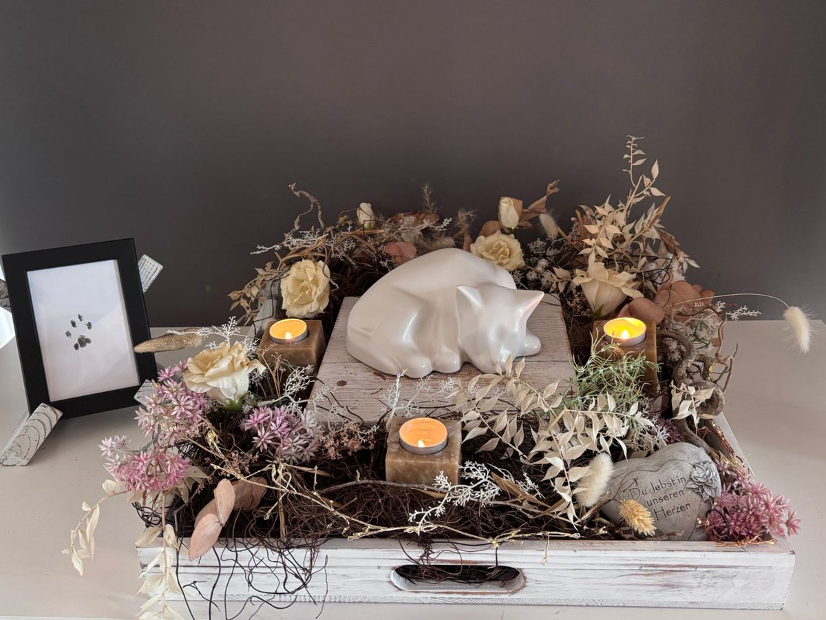 Retrojournal_de's tweet image. Ich werde die sanften Pfoten immer vermissen … 🕯️🐾
Für immer in meinem Herzen. 💔 Du hast tapfer gekämpft!
#Trauer #Abschied #Erinnerung #Seelenpfote
