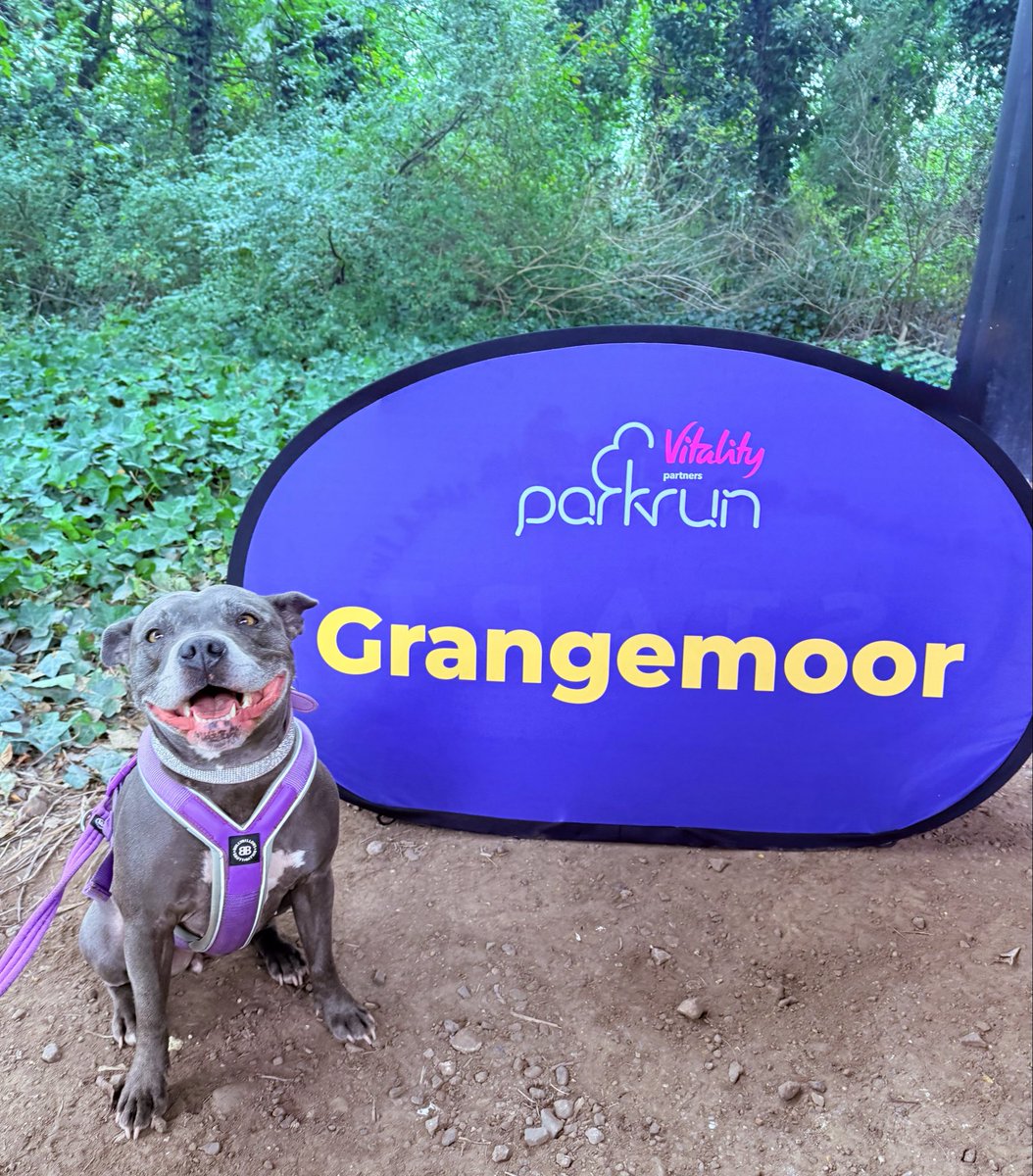 IsaMary2021's tweet image. It’s my favourite day of the week 💜💜 #IsaMary #parkrunDogs #parkrun #Grangemoor