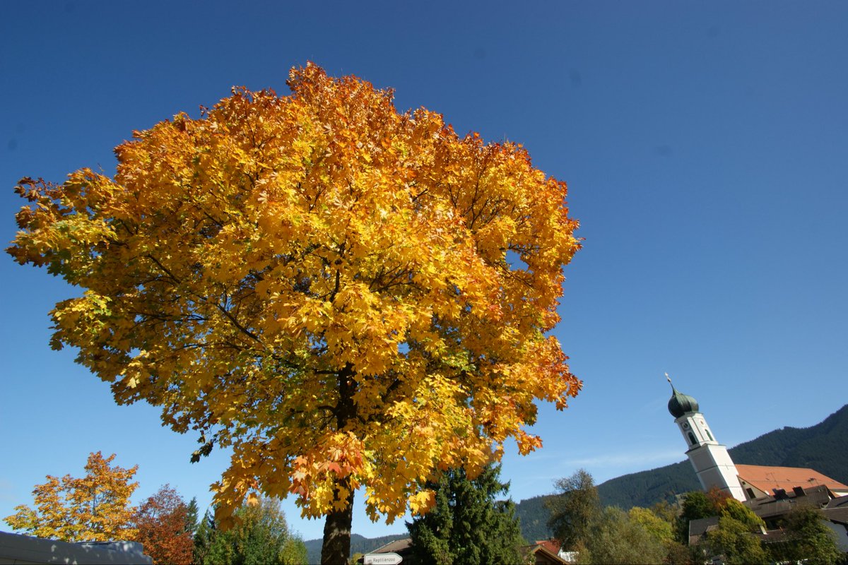 FrankRGardner's tweet image. Autumn colours in Oberammergau, Bavaria