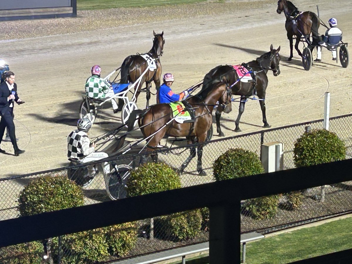 mleppard11's tweet image. The good horse. 🐴 #leap