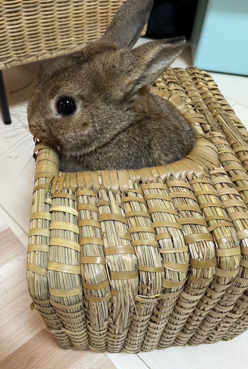 🇯🇵 火乃國 豪 on X: 