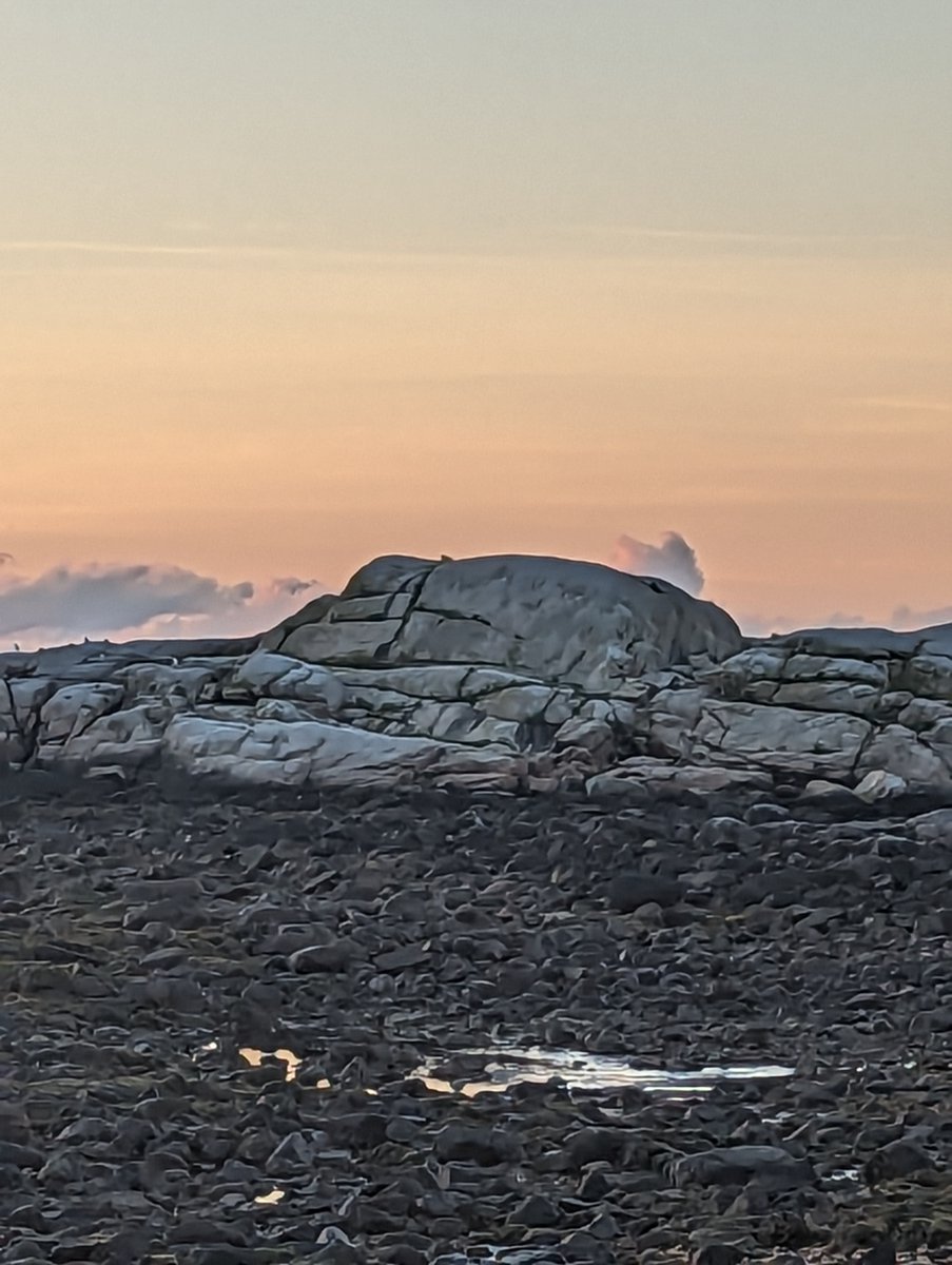 Dear God, Today I woke up. I am healthy. I am alive. Thank You, I apologize for all my complaining. I'm truly grateful for all You've done.