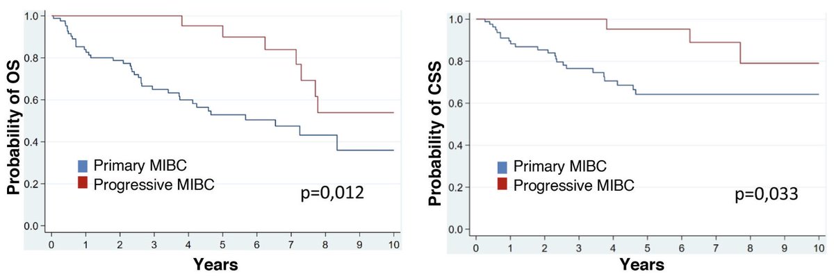 DrFelixGuerrero's tweet image. ‼️Primary vs progressive #MIBC 
🤼Controversial topic
📉We publish on this in the October issue of @actasurologicas @RodriguezFaba 
🏥@Urologia12 @cgdelcanizo @MarioHArroyo @H12Octubre 
🔗Read it here: t.ly/cdaAk